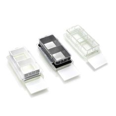 NEST Cell Culture Chamber Slides